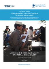 Assessing the economic impacts of internal displacement